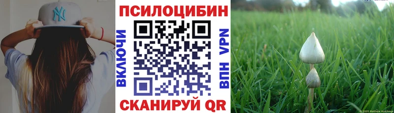 Псилоцибиновые грибы Psilocybine cubensis наркота Новая Ладога